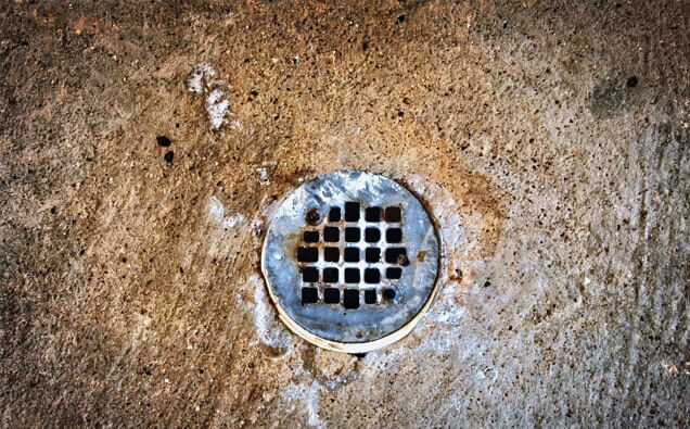 https://blockeddrainsleederville.com.au/uploads/2025/07/blocked-shower-drains-20432.jpg