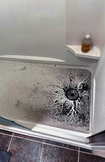 https://blockeddrainsleederville.com.au/uploads/2025/07/blocked-shower-drains-83587.jpg