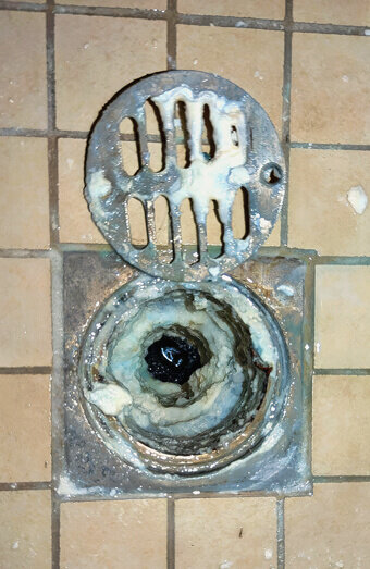https://blockeddrainsleederville.com.au/uploads/2025/07/blocked-shower-drains-86331.jpg