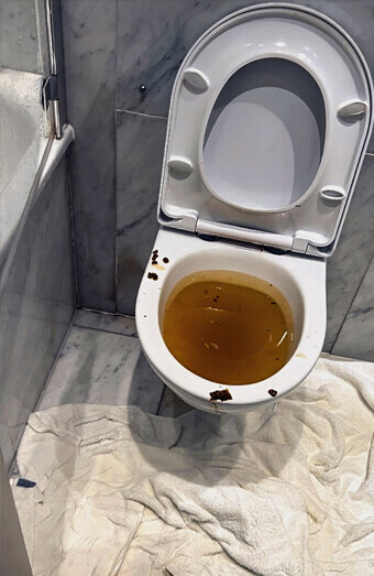 https://blockeddrainsleederville.com.au/uploads/2025/07/blocked-toilet-27793.jpg
