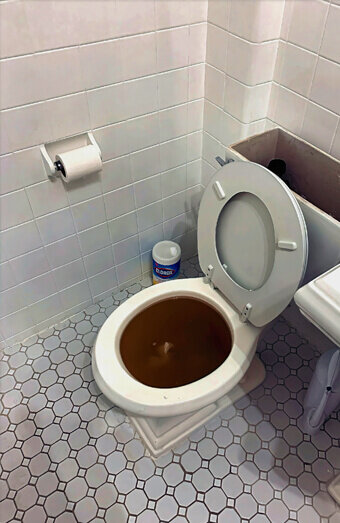 https://blockeddrainsleederville.com.au/uploads/2025/07/blocked-toilet-99184.jpg