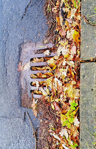 https://blockeddrainsleederville.com.au/uploads/2025/07/stormwater-drains-48051.jpg